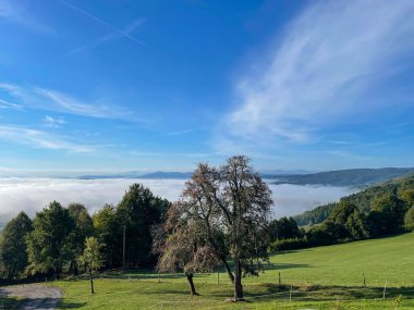 Thick white mist covers the valley below the lush green pastures in Sticna, Slovenia. Picturesque shot of the springtime fog covering the idyllic Slovenian countryside. Foggy valley below the ranch.