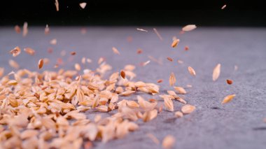 CLOSE UP, BOKEH: Wheat grains and flaxseeds being dropped on a scattered pile on grey surface. Detailed view of seed mixture downfall. Studio shot of scattered wheat and linseed in shallow focus.