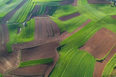 AERIAL TOP DOWN: Patterned patches of lush green meadows and plowed farm area. Beautiful hilly landscape with pattern of green pastures and ploughed fields. Rural landscape bathing in morning light.