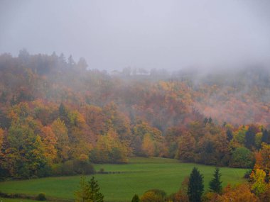 Beautifully colored autumn landscape with rain mist rising from forest trees. Gorgeous forest foliage in warm color palette of fall season. Warm and vivid shades of autumn spreading across countryside