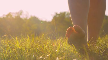 Yaklaş, düşük açı: yalın ayak genç kadın altın ışıkta yeşil çimlerde yürüyor. Güneşli güzel bir sabahta tasasız ve rahatlatıcı bir an. Çıplak ayakla çayırda volta atan bir kadın..