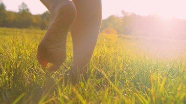 Yaklaş, düşük açılı: arka görünüm Çimlerde yalın ayak yürüyen bayan altın ışıkta. Çıplak ayaklı genç kadın yeşil çayıra basıyor. Güneşli güzel bir sabahta tasasız ve rahatlatıcı bir an..