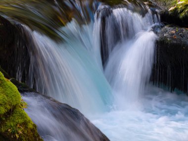 Wild mountain river flowing over mossy rocks forming small waterfalls. Dreamy view of running waterflow over cascade with overgrown stones and autumn leaves. Beautiful glimpse of nature.