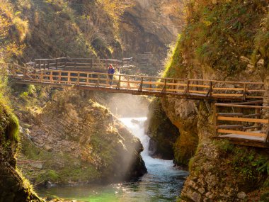 Woman crossing wooden bridge over Radovna river in amazing Vintgar Gorge in fall. Stunning color palette of autumn foliage above green river. Breath-taking autumn tourist destination in deep canyon.