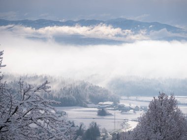 Misty clouds rolling over forest and hilly countryside after freshly fallen snow. Incredible hilltop view of beautiful rural landscape with snow-covered woodland and village after winter snowstorm.
