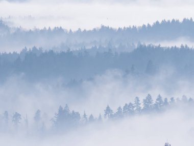 Silhouettes of forest treetops peeking through layers of mist in wintertime. Winter fog rolling among forested hills creating beautifully layered landscape. Stunning winter view of hilly countryside.