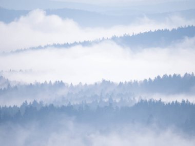 Stunning views of multi-layered forested hilly landscape created by winter mist. Silhouettes of forest treetops peeking through layers of mist in wintertime. Majestic winter view at the countryside.