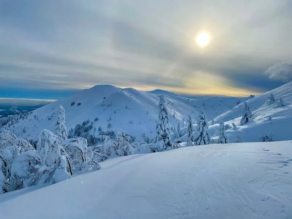 Golden Winter Sunshine Illuminates Picturesque Snowy Alpine Nature Slovenia Rural — Photo