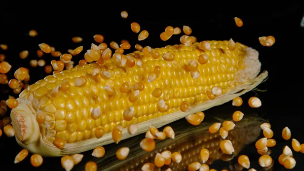Macro Dof Tiny Golden Kernels Corn Fall Whole Raw Cob — Photo
