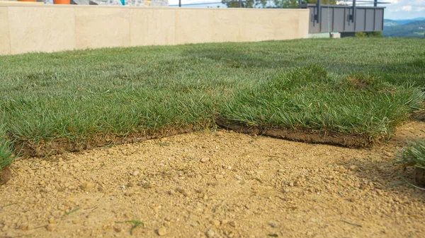 LOW ANGLE, CLOSE UP: Grass tiles get thrown on the empty soil ground in a big backyard under construction. Contractors throw around artificial squares of natural grass while landscaping a backyard.