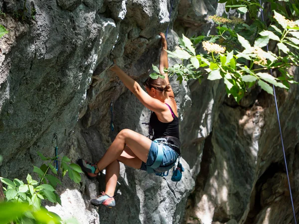 Athletic Caucasian Woman Rock Climbs Towering Cliff Lush Green Woods — Stock Photo, Image