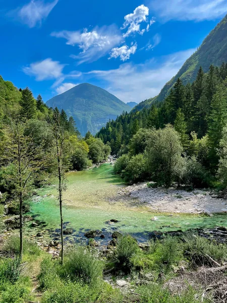 VERTICAL: Breathtaking turquoise colored Soca river meanders through the lush green forest of the Bovec valley. Stunning view of the crystal clear mountain stream coursing through the vibrant gorge.