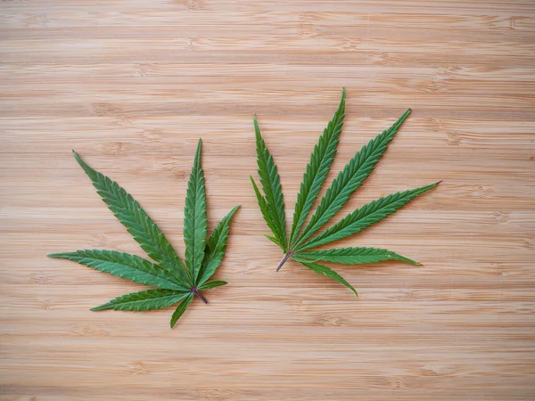 Two Sativa Marijuana Leaves Lie Wooden Kitchen Countertop Close Shot — Stockfoto