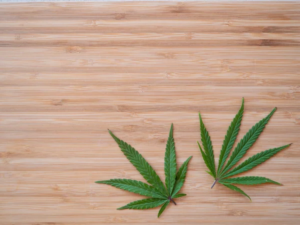 Two Sativa Marijuana Leaves Lie Wooden Kitchen Countertop Homegrown Weed — Stockfoto