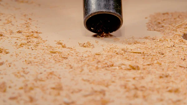 Macro Dof Black Vacuum Cleaner Hose Sucks Wood Chippings Sawdust — Stok fotoğraf