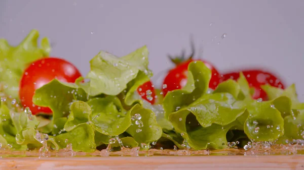 Macro Dof Bright Red Tomatoes Fall Land Wet Romaine Lettuce — Stok fotoğraf
