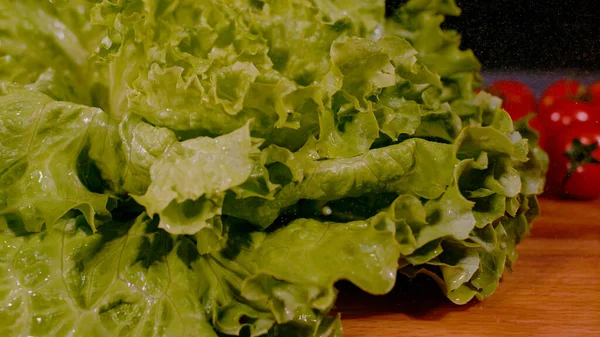 CLOSE UP, BOKEH: Fresh green lettuce head with water drops on wooden surface. Green lettuce leaves sprayed with water droplets and red tomatoes in background. Sprinkled leafy salad in shallow focus.