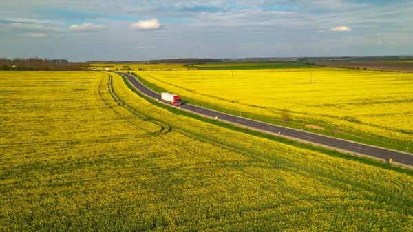 Aerial Cargo Trucks Driving Motorway Road Passing Yellow Blooming Fields — Stock Photo, Image