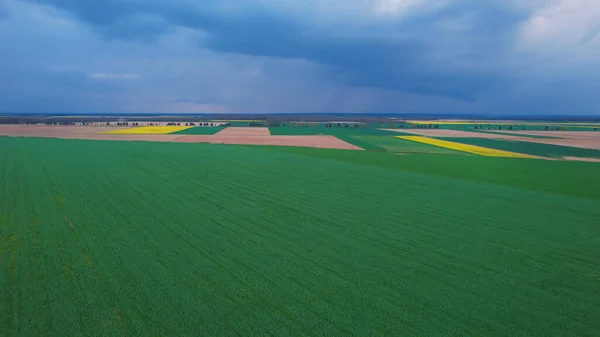 Aerial Vista Grandes Terras Cultivadas Com Campos Cultivo Sob Nuvens — Fotografia de Stock