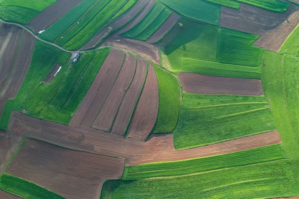 Aerial Top Pattern Patches Lush Green Meadows Farming Fields Beautiful — Stock Photo, Image