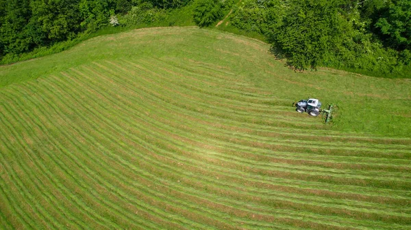 用干草机对新近割过的草场进行牵引 加快草场干燥速度 现代化农机 提高干草准备效率 风景秀丽的农村夏季耕作活动 — 图库照片