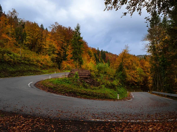 Asphalt Road Bend Covered Fallen Colorful Forest Leaves Autumn Rain — Fotografia de Stock