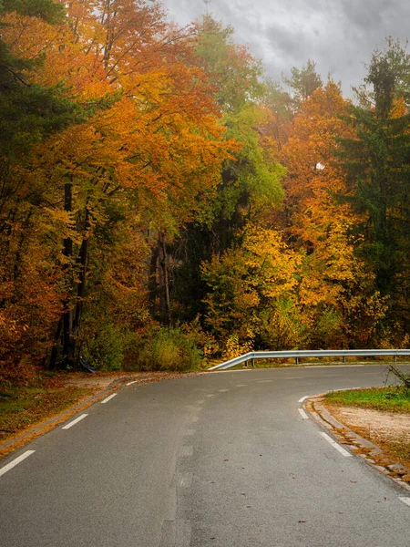 Wet Asphalt Road Leading Autumn Forest Vibrant Colors Rainy Day — Fotografia de Stock