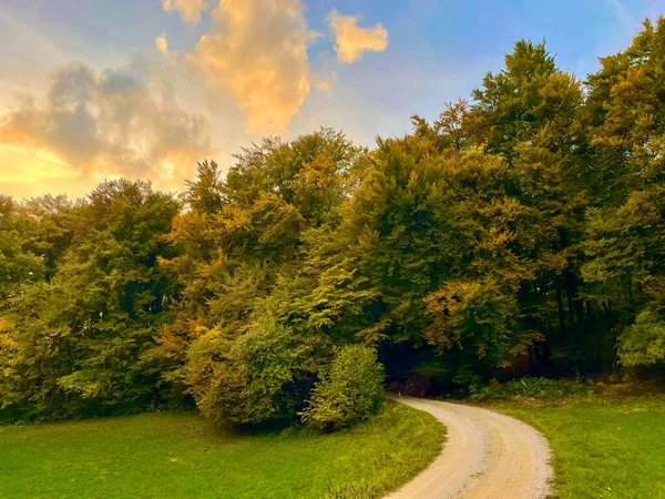 Gravel path leading towards forest in beautiful autumn shades at sunset light. Lovely macadam road for walking through picturesque meadow and woodland areas in amazing vivid colors of fall season.