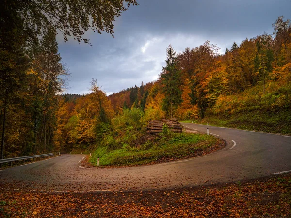 秋の雨の後に倒れたカラフルな森の葉で覆われた舗装された道路曲線 雨の日には緑豊かな丘の中腹を抜ける湿ったアスファルトの道に横たわる秋の葉 — ストック写真