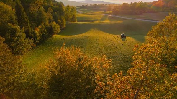 Aerial View Tractor Turning Mowed Hay Golden Light Autumn Trees — Stok fotoğraf