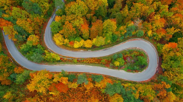Paved road winding through picturesque forest in autumn colors. Amazing high angle view of asphalt serpentine road in embrace of lush treetops in vibrant color shades of fall season.