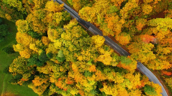 Winding Asphalt Road Lush Forest Trees Amazing Autumn Shades Curvy — 图库照片