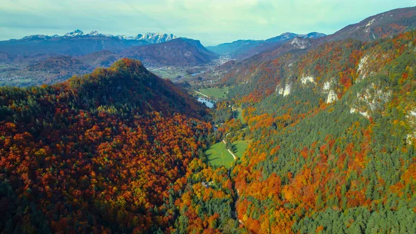 Удивительный Вид Альпийский Пейзаж Красивых Цветах Осеннего Сезона Живописная Долина — стоковое фото