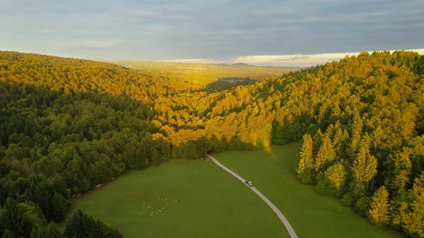Красивые Холмистые Леса Сельской Местности Купаются Второй Половине Дня Осеннего — стоковое фото