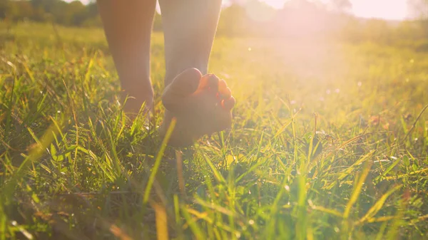 CLOSE UP, LOW ANGLE: Young female bare feet walking on grass in gorgeous sunset light. Sunlit barefooted woman stepping gently on the green meadow grass and moving towards camera at golden sunrise.