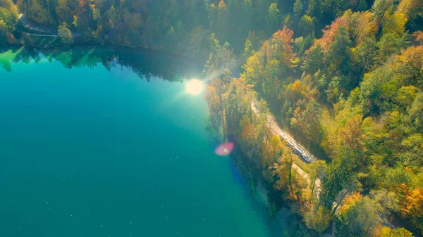 Aerial Toeristische Trein Rijden Rond Prachtige Lake Bled Kust Kleurrijke — Stockfoto