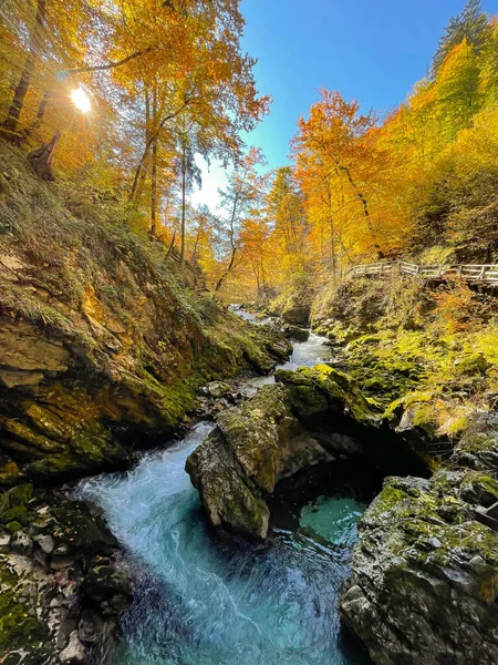鮮やかな秋の色合いでビンガー渓谷の美しいラドヴナ川の自然の魅力 カラフルな秋の季節に険しい峡谷を流れるブナの木の森と野生の川の豪華なカラーパレット — ストック写真