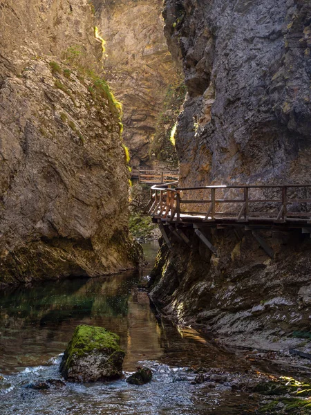 流れる川や木の歩道と絵のようなビンガー渓谷の素晴らしい景色 緑の川の上の紅葉の豪華なカラーパレット 急峻な岩場の間の美しい観光地 — ストック写真