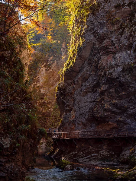 Вражаючий Вид Мальовничої Вінтгарської Ущелини Річкою Дерев Яною Стежкою Прекрасна — стокове фото