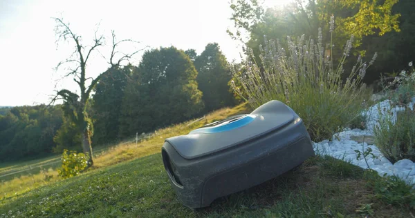 Automatic Lawn Mower Fine Tuning Edges Green Turf Backyard Futuristic — Stock Fotó