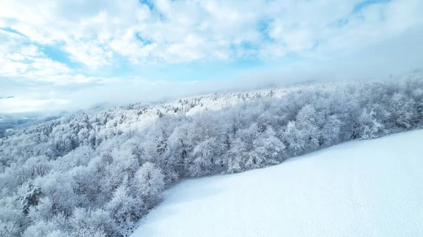 Enchanting View Hilly Countryside Covered Freshly Fallen Snow Drone Shot — Photo