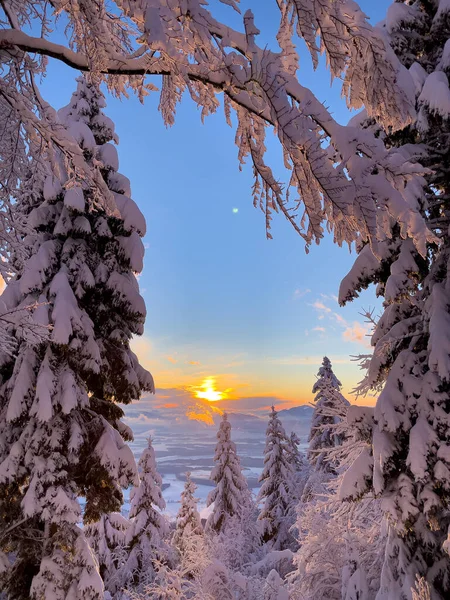 Beautiful branch-framed view of setting winter sun over a snow-covered valley. Glorious ending if a winter day in alpine landscape after new blanket of fresh snow. Winter wonderland at high altitude.