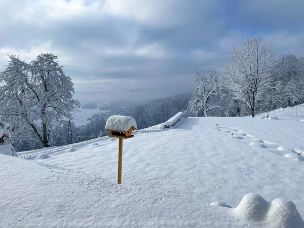 Snowy Garden Wooden Bird Feeder Covered Blanket Freshly Fallen Snow — Stok fotoğraf