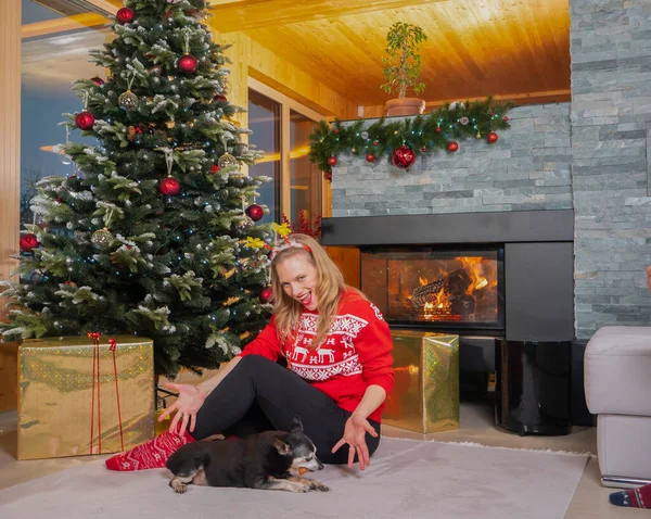 Cheerful Young Lady Posing Her Pet Dog Next Christmas Tree — Fotografia de Stock