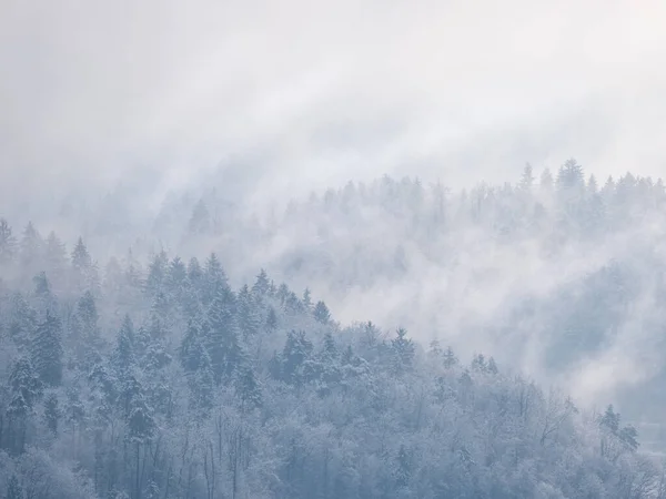 Misty Remains Winter Snowstorm Clouds Rolling Snow Covered Treetops Breath — Stock Photo, Image