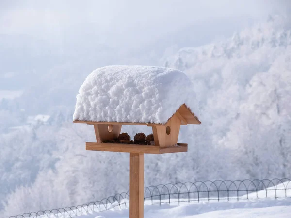 Wooden Birdhouse Stocked Feed Covered Thick Blanket Snow Sunlit Snowy — Stock Photo, Image