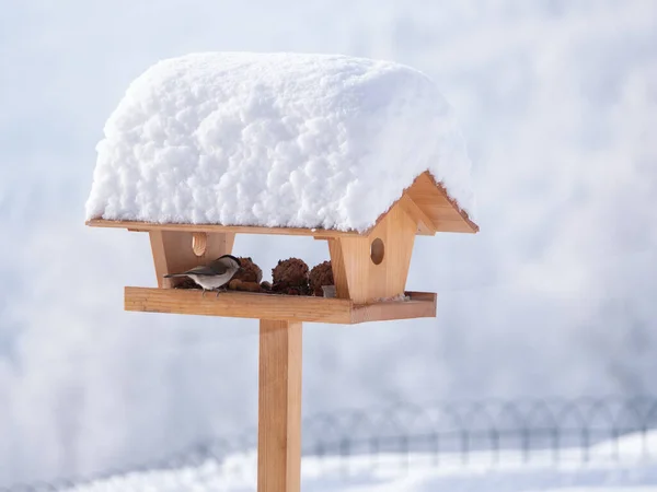 Little Bird Visiting Snow Covered Birdhouse Get Some Bird Food — Foto Stock
