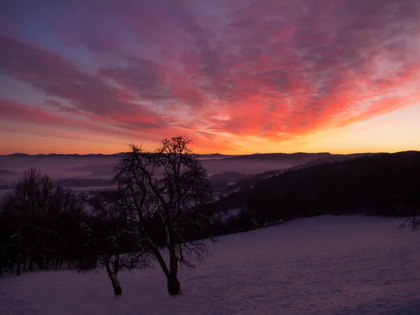 Stunning vista of vibrant atmospheric mood above snowy hilly rural landscape. Majestic play of sunset colors above snow-covered countryside. Serene view from the hilltop over snowy valley at sundown.