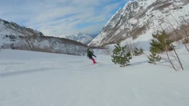 Freeride Lady Joyful Ride Snowboard Spraying Clouds Powder Snow Breath — Stockvideo