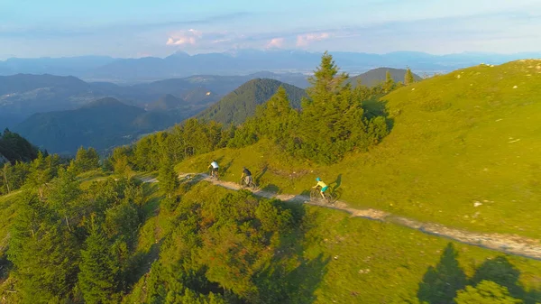 AERIAL: A group of extreme downhill bikers speed down a scenic gravel path leading through the spruce forest. Three friends having fun mountain biking in the spectacular sunny Slovenian mountains.